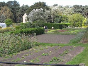 Cullerne Garden 2005 photo Adriana Sjan Bijman