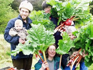 Rhubarb joys Cullerne Garden photo Adriana Sjan Bijman