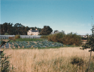 Cullerne House and Garden around 1990 photo Judith Bone