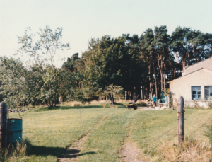 Cullerne garage around 1990 photo Judith Bone