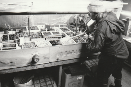 Cullerne propagation tunnel 1980 photo Findhorn Foundation