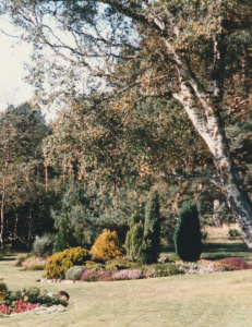 Fred's pond 2 around 1990 photo Judith Bone