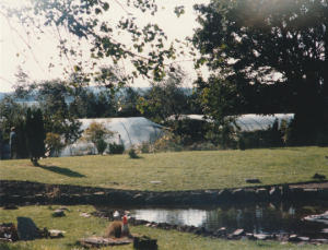 Fred's pond Cullerne around 1990 photo Judith Bone