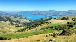 Okains Bay on Banks Peninsula photo Michael Winter