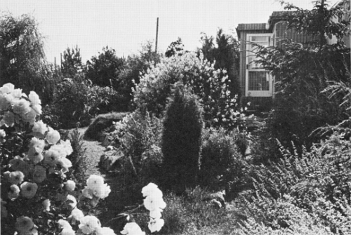 garden photo Findhorn Foundation