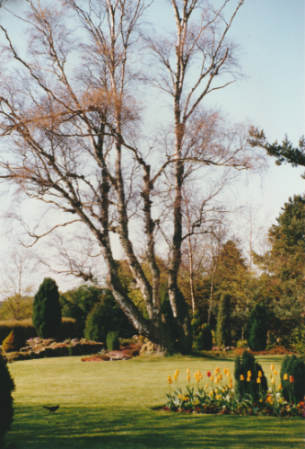 Cullerne Garden photo Lynn Barton