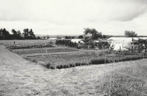 Cullerne Gardens fields 1980 photo Findhorn Foundation