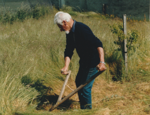 Fred scything grass 1987 photo Lynn Barton