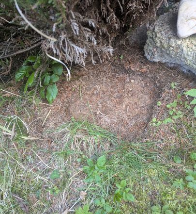 Mislaid Stone photo Clare Hedlam-Morley