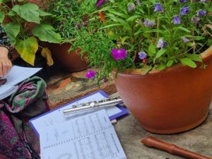 Music in nature photo Carolin Waldmann