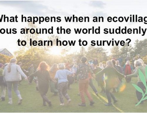 From Survival to Soul