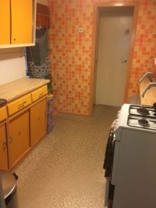 Treetops original 1960s kitchen