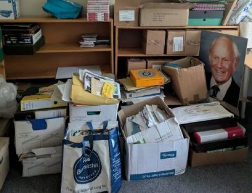 Archivist’s 3rd blog: 🌿 The Universal Move: Rolling Up Our Sleeves in the Bungalow