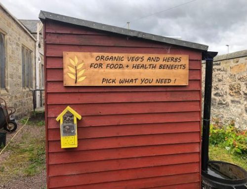 St. Leonard’s Community Garden Project in Forres