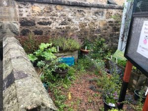 St Leonard's grow boxes