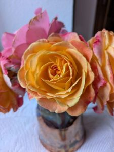 Abundances of roses photo Cornelia Featherstone