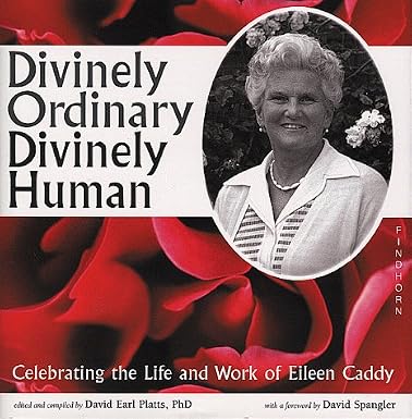 Divinely Ordinary Divinely Human cover