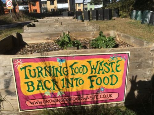 Growing food photo Margo van Greta